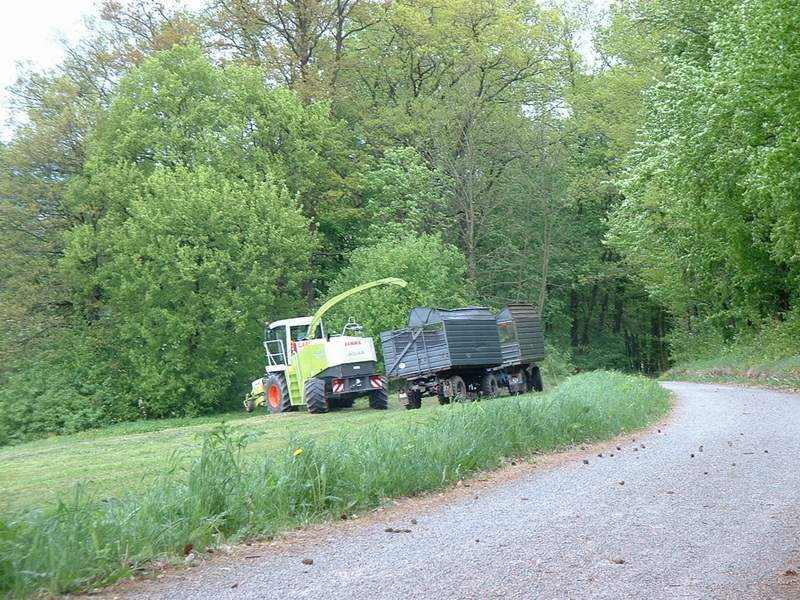 jaguar_900 _+_fendt_824_3.jpg